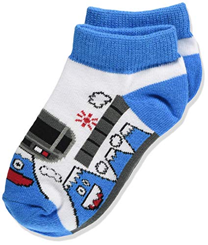 【駅鉄】鉄下 富士急行 フジサン特急8000系 16~20cm 鉄道靴下のサムネイル