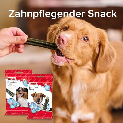 Beaphar Zahnpflege Sticks, 7 St. / 182g