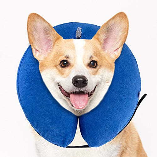 Top 10 Best Pillow Cone For Dogs in 2022 13 Meric Inflatable Recovery Collar, Blue Plush, Snug Neck Pillow for ...