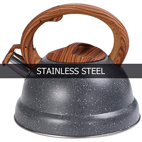 DOITOOL Chaleira de apito, chaleira de aço inoxidável 3L com cabo de madeira para home office