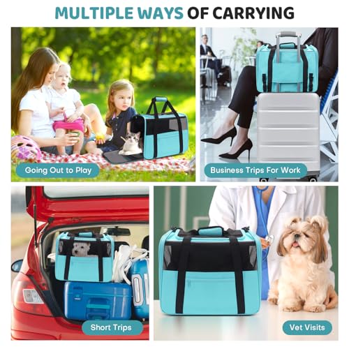 Image of JUNGYOUN Premium ​Cat Carrier - ​Pet Carrier for Cat & Small Dogs up to 15lbs - ​Airline Approved Travel Dog Carrier with Anti-Escape Zippers, Collapsible Travel Bowl & Padded Strap