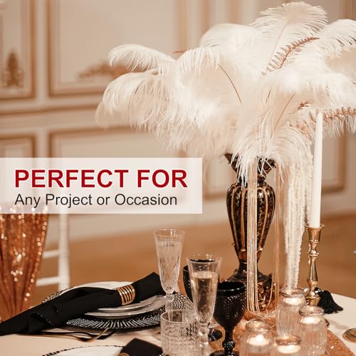 PATIKIL 24 Pcs Natural Ostrich Feathers 10-12 Inch / 25-30 CM Large Ostrich Feather Kit for Crafts, Vase, Home Decoration, Wedding, Party, Centerpieces, Flower Arrangement (Black) by PATIKIL - Image 6