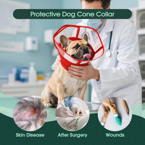 Image of Kuoser Dog Cone Collar After Surgery, Soft Cone for Dogs to Stop Licking, S | Breathable Dog Recovery Collar Comfortable Elizabethan Collars, Adjustable Protective Pet Cones for Small Medium Large Dogs