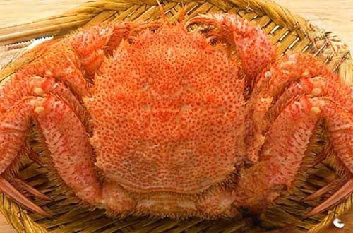 [北海道産] 浜ゆで毛ガニ 約600g (2尾入り) 