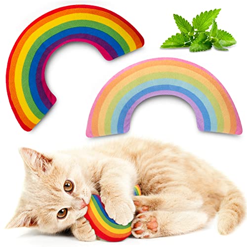 ETEKYER Cat Toys Rainbow Pillows, Catnip Toys for Indoor Cats Kitten, Soft and Durable, Interactive Cat Nip Chew Teeth Toy Kitty Kicker Toys 2 Pack