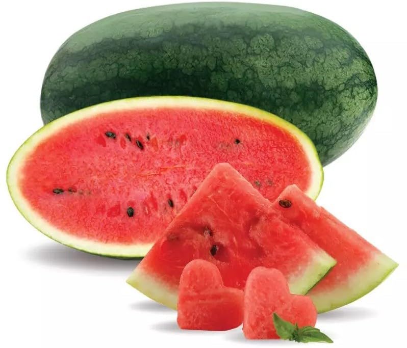 Willvine Sweet watermelon, seedwatermelon/????? ?? ???-XLR-11B-image-21