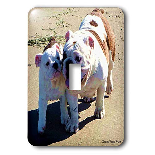 You Belong With Me Interrupteur bascule pour remplacer une plaque murale unie