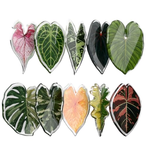 Imanes decorativos para nevera plantas hoja 10 unidades