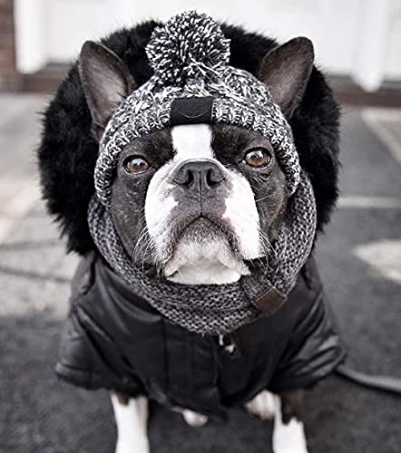 Winter Soft Dog Hats, Warm Pet Dog Knitted Hat, Windproof Knitting French Bulldog Hat For Small Medium Dogs (Large) #TOP2