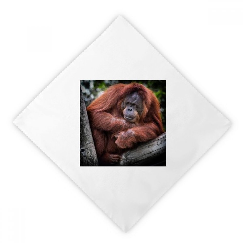 Servilletas lavables de orangután para evitar el papel, tela blanca suave para tus comidas