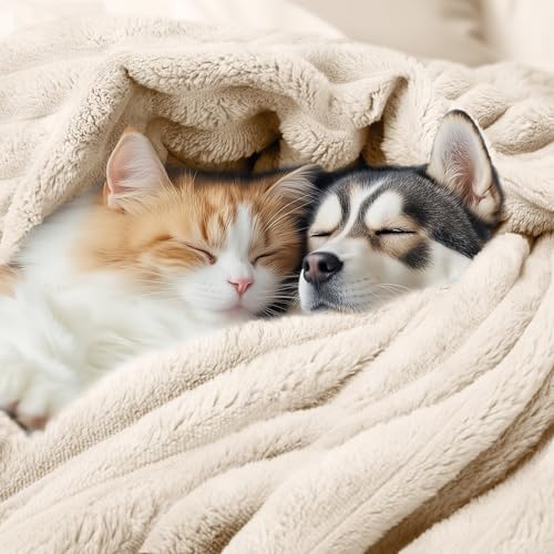 luciphia Hundedecke Katzendecke Waschbar, 1 Pack 3 Decken Flanell für Kleine Mittlere Größe Hunde Katzen, Flauschig Weiche Warme Fleece Haustier Decke für Unterwegs Kuschel Grau Rosa Beige 45 x 75 cm
