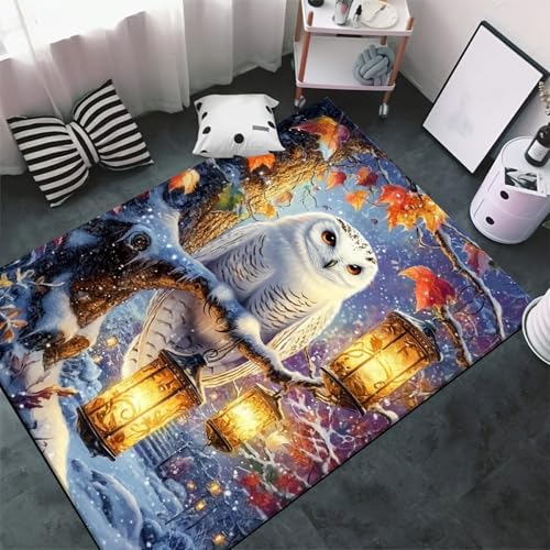 Tapis hibou 3D pour chambre enfant et salon | Décoration cocooning douce 120x160cm