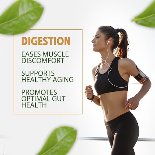 Healthfare Ginger Root Capsules 4000Mg | 200 Count | Ultra Strength Supplement | Gluten-Free & Non-Gmo #TOP6