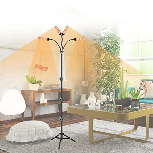Lámpara de pie LED, iluminación de espectro completo con soporte, base ajustable de 53,5 pulgadas, reloj, encendido/apagado automático, nivel de atenuación 5 para crecimiento de plantas