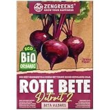 ZenGreens® - Bio Rote Beete Samen - Rote Beetesamen - Gemüsesamen für den einfachen Anbau im Garten, Balkon oder Hochbeet - Gemüse Saatgut - Rote Rübe - Detroit 2