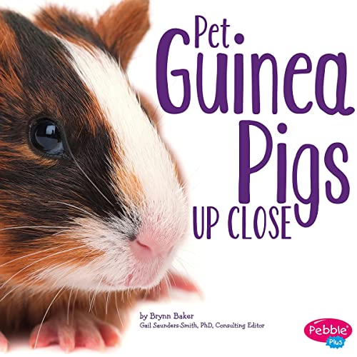 Pet Guinea Pigs Up Close by Gail Saunders-Smith, Brynn Baker episode artwork