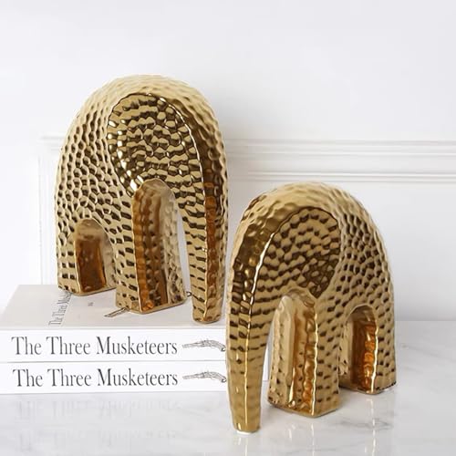 La Mejor Selección de Planta pata de elefante precio Top cinco. 15 La Mejor Selección de Planta pata de elefante precio Top cinco. 15