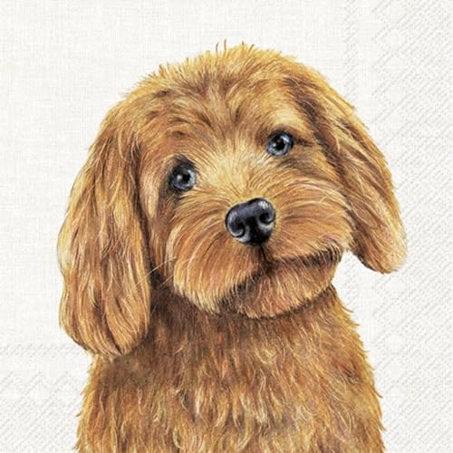 IHR Ideal Home Range - Papierservietten FARM DOG cream - Hund 20 St. Lunch-Servietten 33 cm x 33 cm