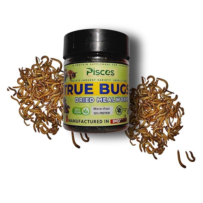 PISCES True Bugs Dried Mealworms 2x100ml (Pack of 2) | for Turtle, Hedgehog,Rodent etc (B0CXMC16FY) Amazon Price History, Amazon Price Tracker