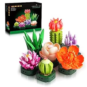 HOGOKIDS Set per piante grasse per adulti e piante grasse, per casa o ufficio, regalo di compleanno di San Valentino per fidanzata e madre (570 pezzi)