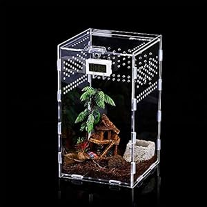 Yezytech Reptiel-voederdoos, insectenvoederdoos, acryl 360 graden transparante reptielkweekbox, insectenvoeder, huis…