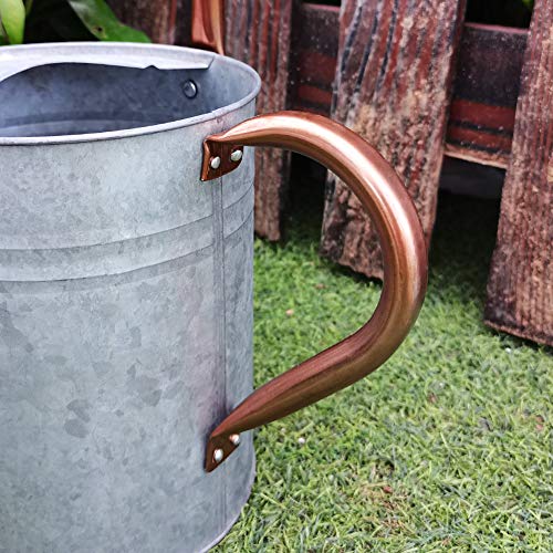 yourjoy Steel Watering Can Sliver Galvanized Steel Watering Can with Copper Accents,Removable Rosette-Diffuser,One-Gallon