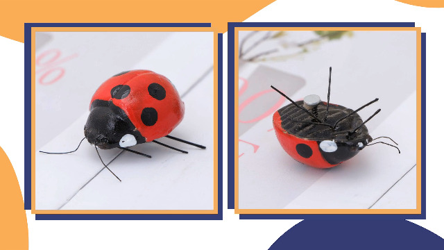 Amazon.com: NUOBESTY Ladybug Refrigerator Magnets Decorative