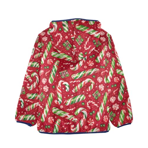 CHIFIGNO Hamburgers Sweatshirt Jacket with Hood Toddler Boy Hoodies for Fall Winter Toddler Zip up Hoodie Boy 3T2