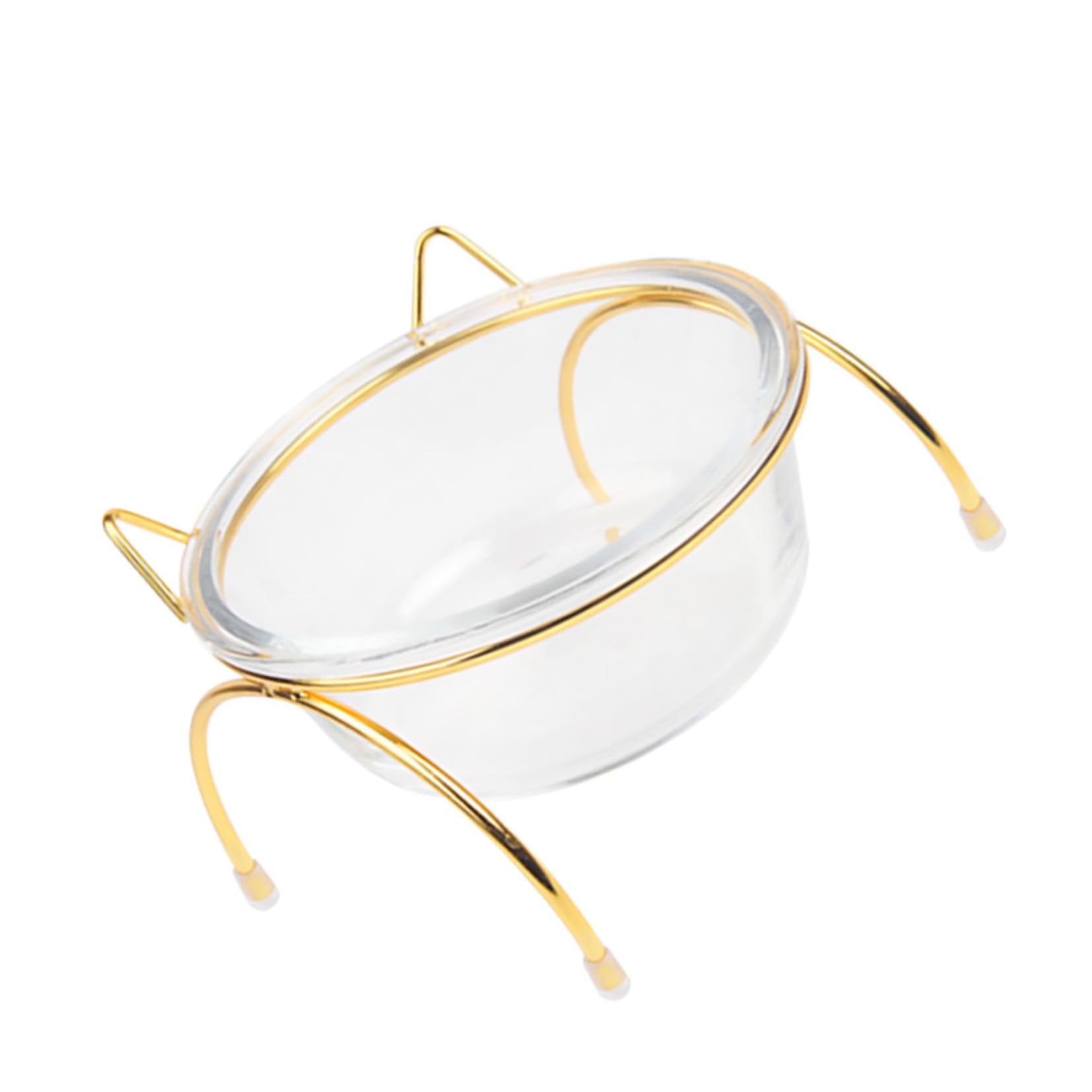 Gamelle en verre inclinée surélevée chat chien bol orthopédique support métallique lavable