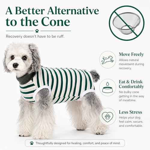 Image of Dog Surgery Recovery Suits, Sleeveless Dog Recovery Suit Female, E-Collar & Cone Alternative Surgical Suit for Small and Medium Dogs After Surgery, Striped Dog Onesie Pajamas