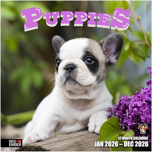 RED EMBER Puppies 2026 Wall Calendar 12 Month | 12' x 24' Open | Thick & Sturdy Paper | Holiday Gift | Cute Puppy Dog Calendar 2026