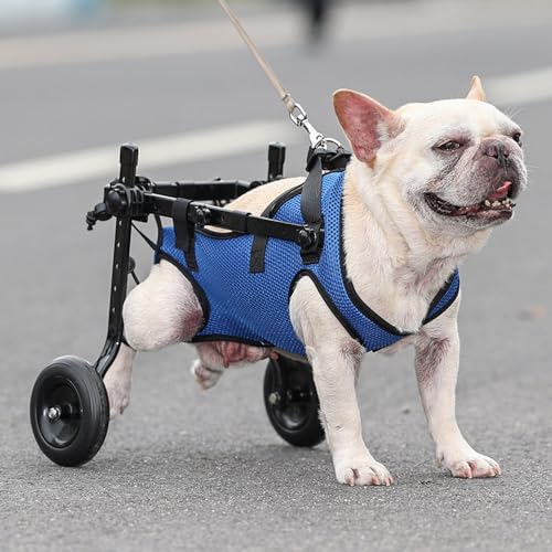 Dog Wheelchair, Adjustable Pets Cart Wheelchair for Back Legs,Dog Leg Brace and Hip Support, Assist Small Pets with Paralyzed Hind Limbs to Recover Their Mobility, Size M - Image 5