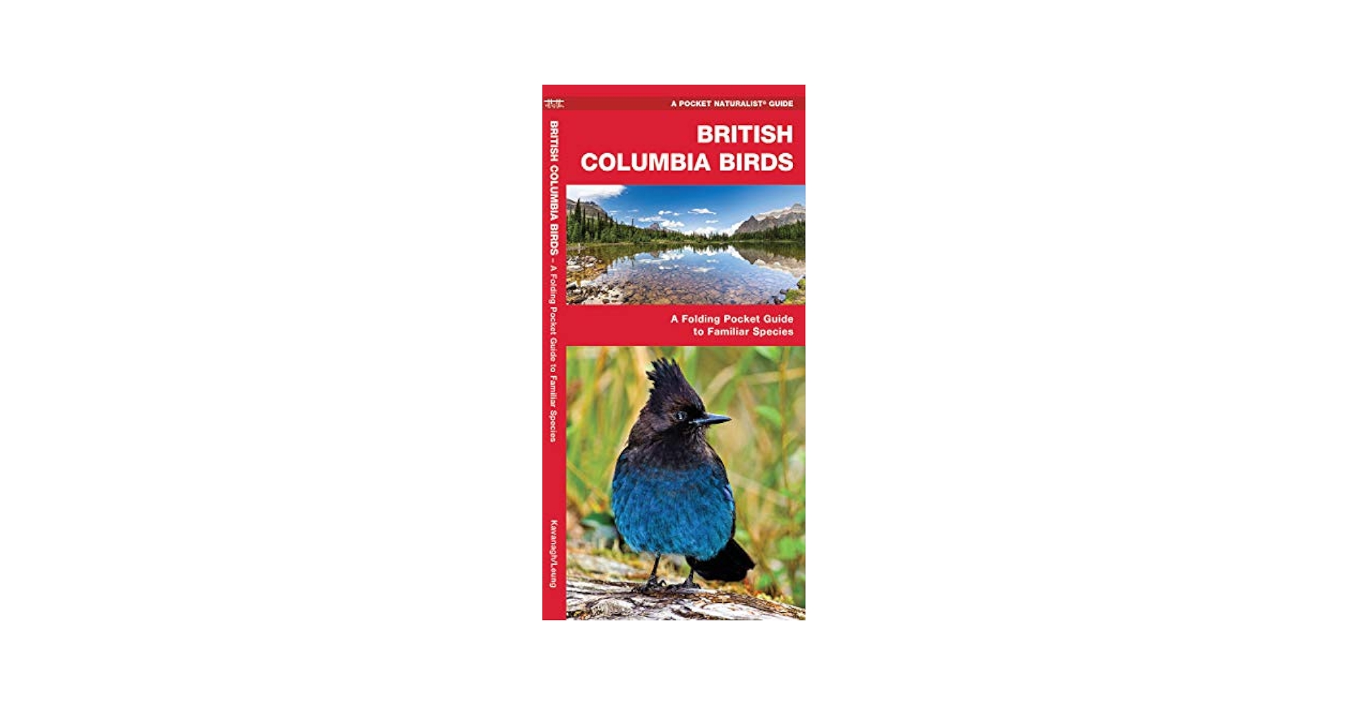 Birds In Colombia コロンビアの鳥の写真集 ＜洋書＞ Birds of Colombia