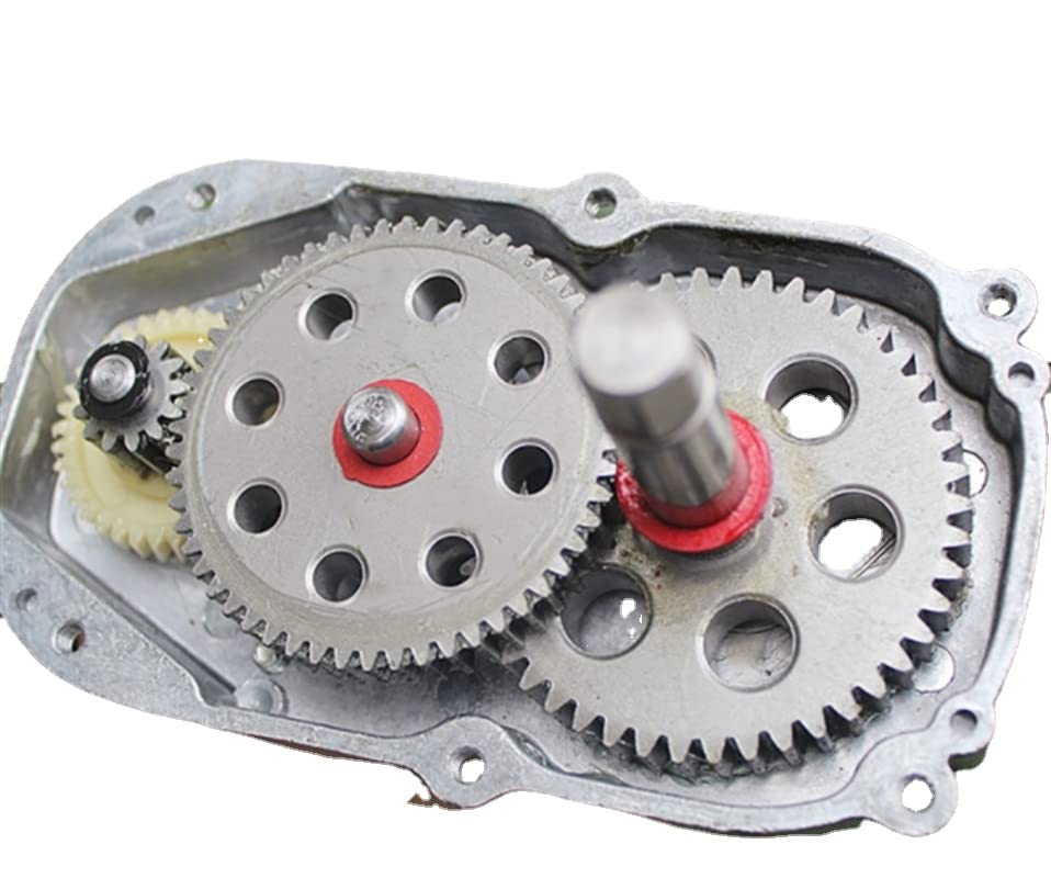 Davitu AC Motor - High-power and High-torque 7-shaped DC Rectifier Gear Motor AC220V Permanent Magnet DC Gear Motor 300W