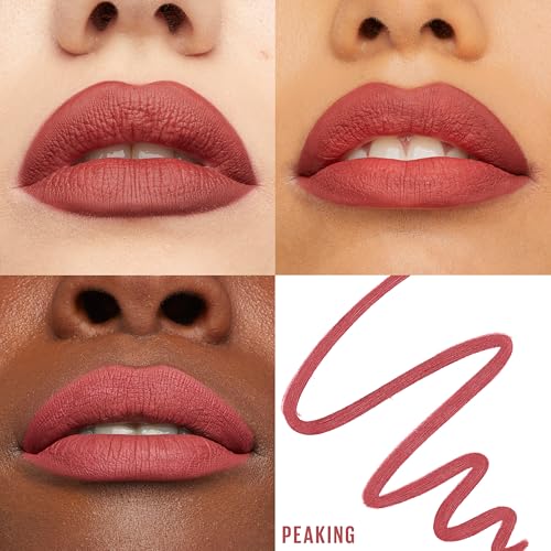 Image of Maybelline Lifter Liner Lip Liner Pencil with Hyaluronic Acid, Peaking (Pack of 2)
