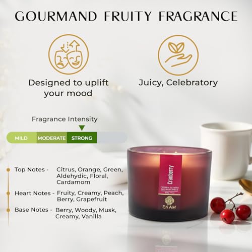 Image of EKAM 3 Wick Soy Wax Scented Candle | Cranberry Fragrance | 35 Hr Burn | Long Lasting Premium Jar Candle for Home Decor, Relaxation & Gifting