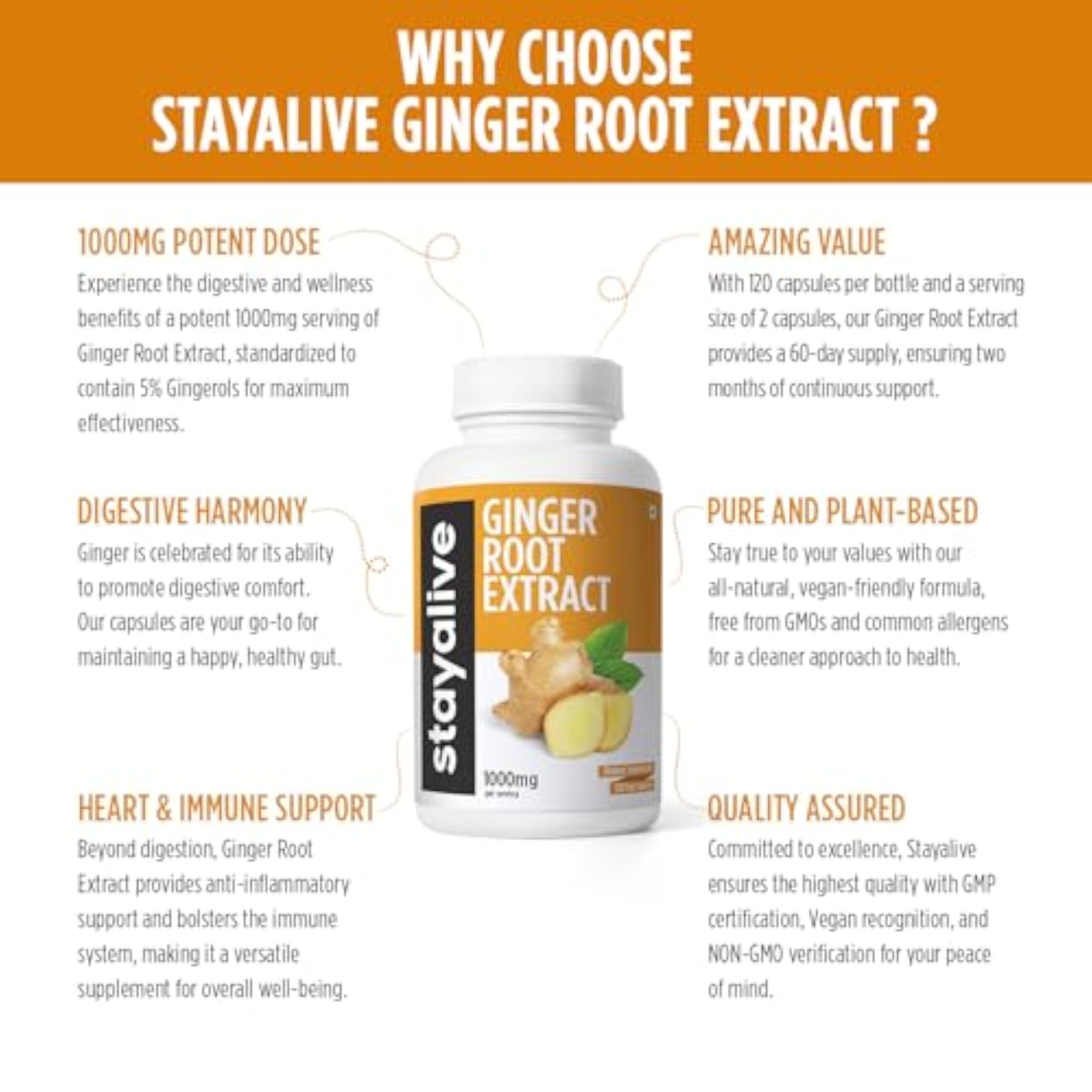StayAlive Pure Ginger Root Extract Capsules for Immunity