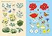 HEALTH MANAGEMENT Little First Stickers Book Wildflowers, 1 EA