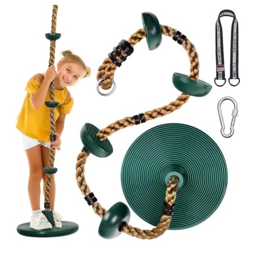 Decorlife Rope Swing for Tree, Sturdy Outdoor Disc Swing Set for Kid, Climbing Tree Swing with Strap & Carabiner, Easy Setup
