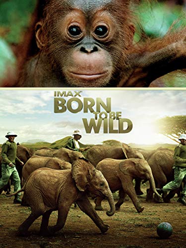IMAX Born to Be Wild