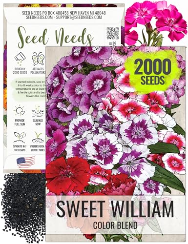 Seed Needs Sweet William Seeds to Plant Mixed Annual Flowers 1 Pack