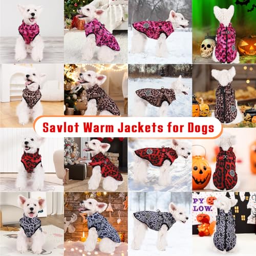 Savlot Hundemantel mit Geschirr Welpenmäntel Kleine Hundejacke mit Reißverschluss wasserdichte Winterjacken für kleine und Mittelgroße Hunde