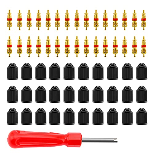 VooGenzek 61 Pezzi Smontavalvole, Cacciavite per Valvole, Nucleo della Valvola in Rame Puro, Tappo Valvola in Plastica, per Auto, Bicicletta, Moto