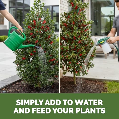 Holly Fertilizer alimento líquido para plantas 32 oz miniatura 6
