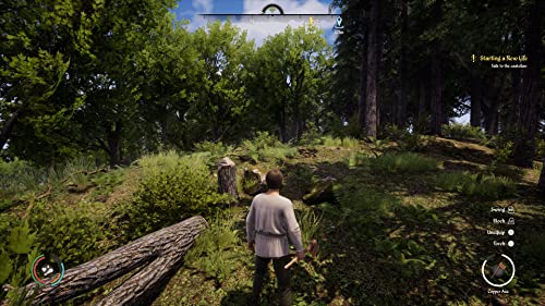 Medieval Dynasty Ps5 - vue 5