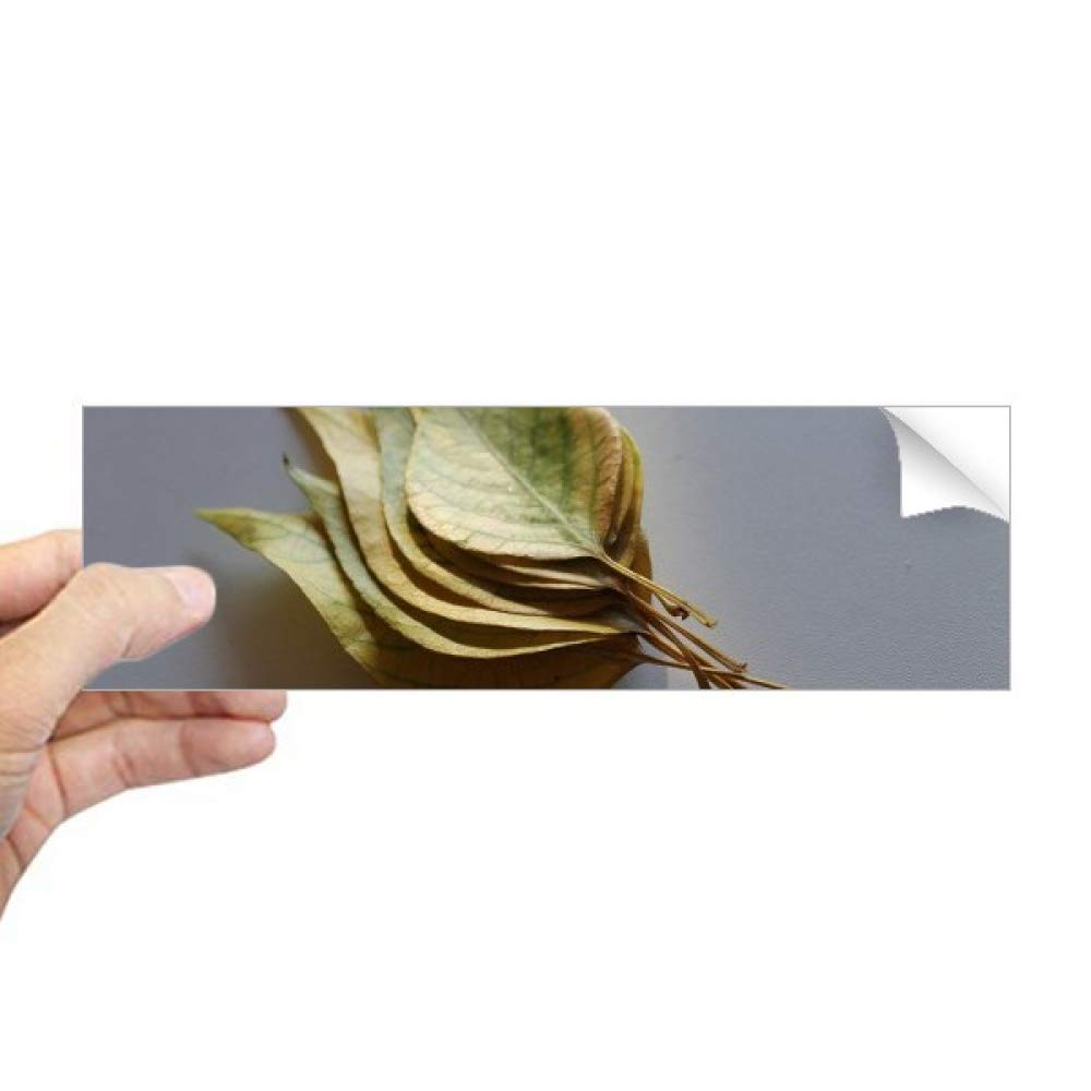 Autocollant rectangulaire pour fenêtre film vitrage adhésif DIYthinker motif feuilles