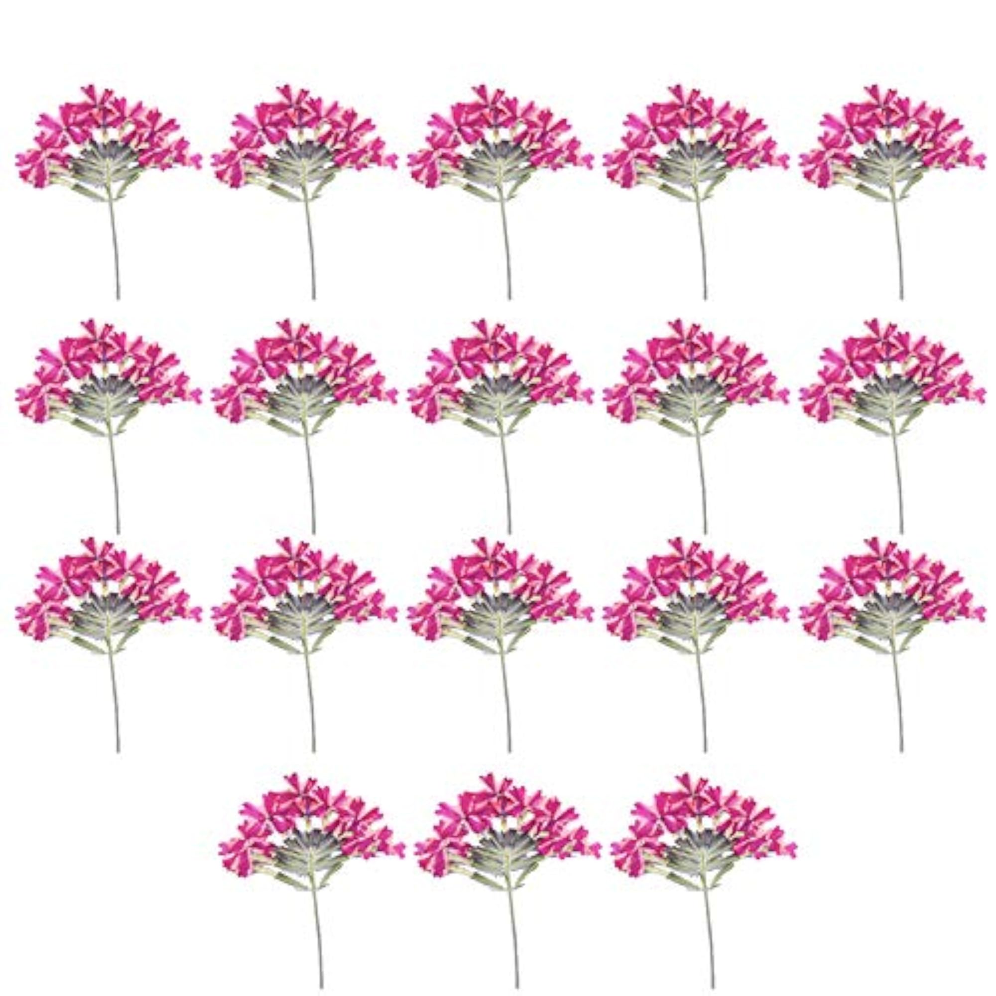 18PCS Lightweight Real Dried Craft Flowers Kit