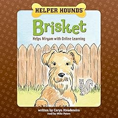 Brisket Helps Miryam with Online Learning Titelbild