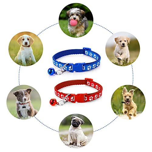Molain 2-teiliges Hundehalsband und Leine Set, verstellbares Hundehalsband mit Leine, Schnellverschluss, Schnallenhalsband für kleine Hunde, Katzen, Welpen, Kätzchen (Blau+Rot)