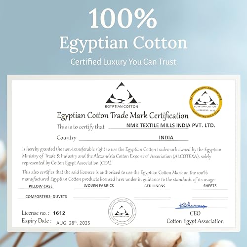 Certified Luxury 100% Egyptian Cotton Sheets, Queen Size Sheet, Deep Pocket Bed Sheets Set, Sateen Cooling Sheets for Hot Sleepers, Queen Egyptian Cotton Sheet Set, Light Grey Queen Sheet Set
